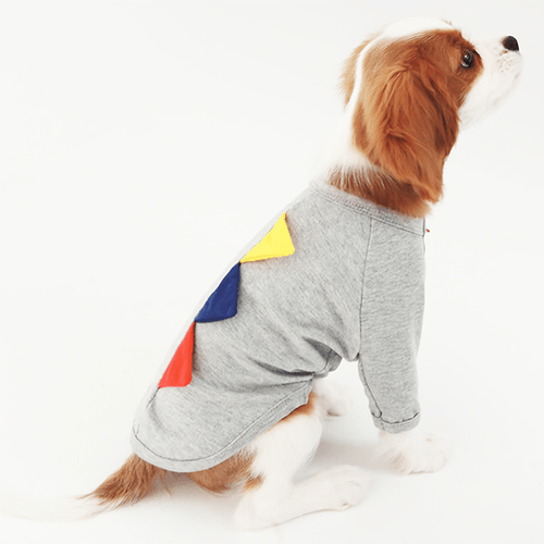 Pet Costume T-Shirt &amp; Vest Set