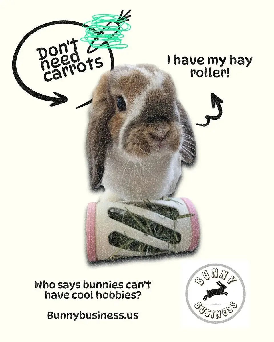 Hay Roller Rabbit Foraging Toy With Greens Holder Active Enrichment by Bunny Business