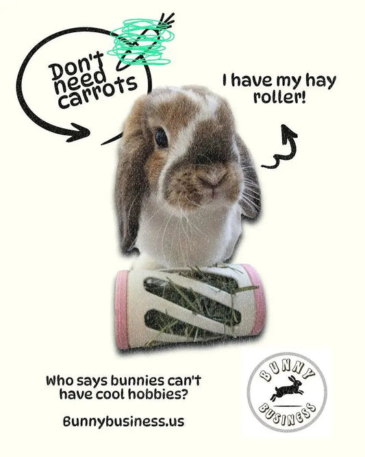 Hay Roller Rabbit Foraging Toy With Greens Holder Active Enrichment by Bunny Business