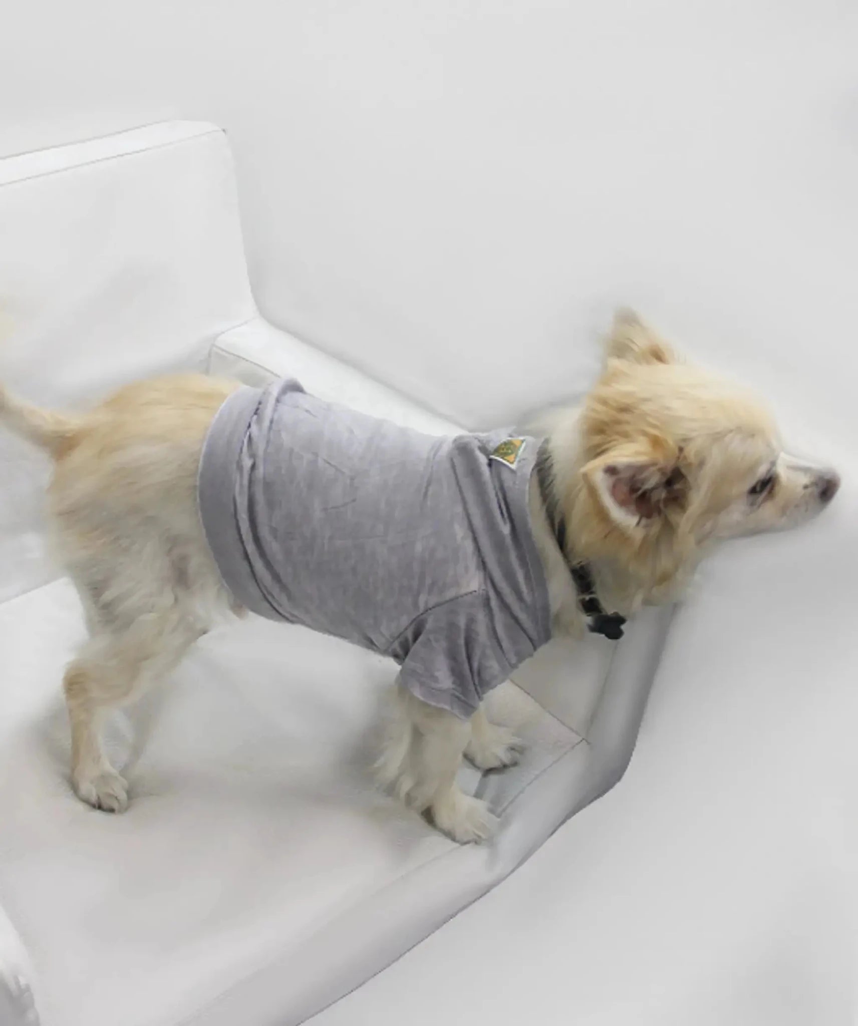 The Everyday Pet Hoodie