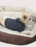 Load image into Gallery viewer, The Everyday Pet Hoodie
