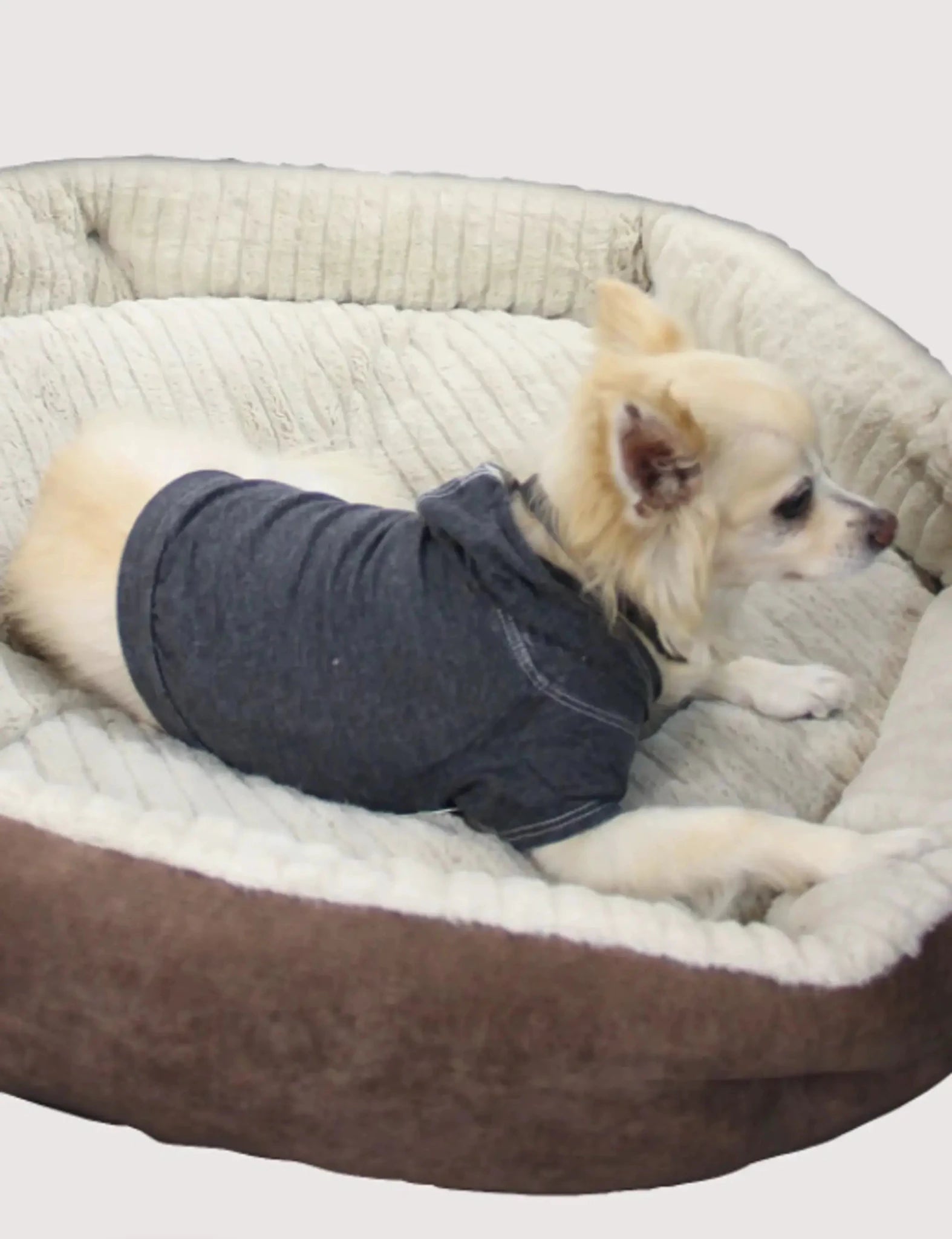 The Everyday Pet Hoodie