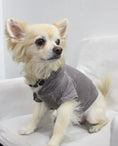 Load image into Gallery viewer, The Everyday Pet Hoodie
