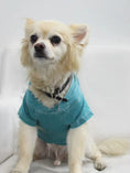 Load image into Gallery viewer, The Everyday Pet Hoodie
