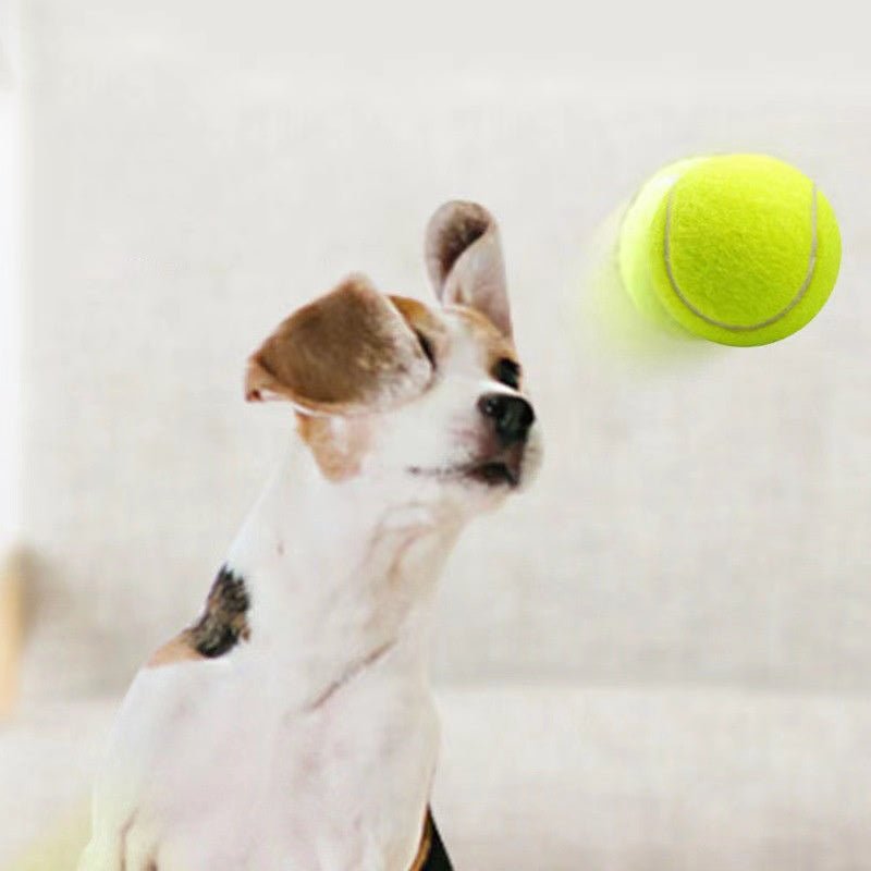 Rubber Tennis Ball Dog Toy – 2.4 in – photo 4