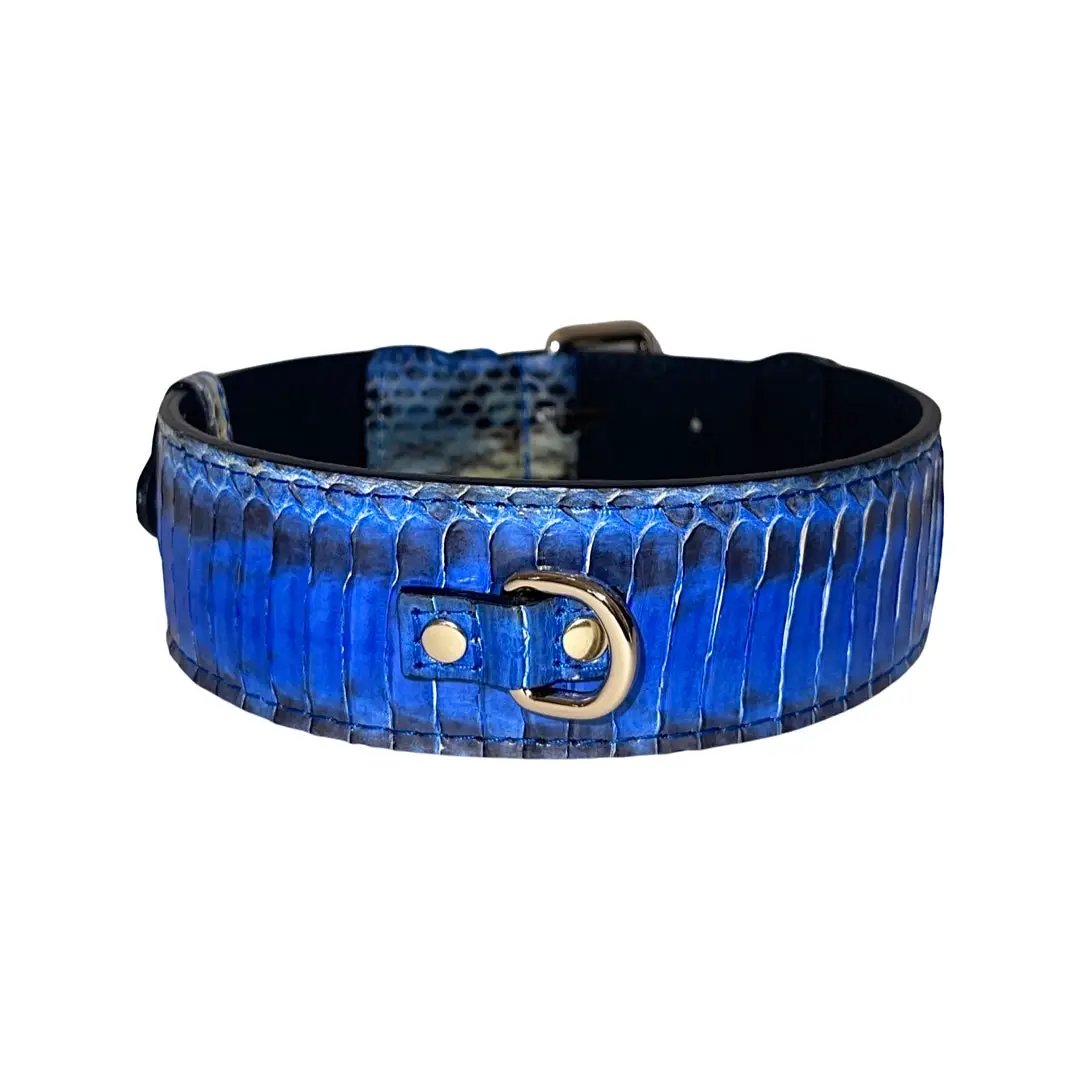 Stunning Blue Snake Classic Collar 14-19 Inch by Allysa Payne Beverly Hills