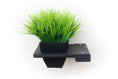 Load image into Gallery viewer, Cat Plant Stand for Wall, black wall shelf with small planter and faux green grass
