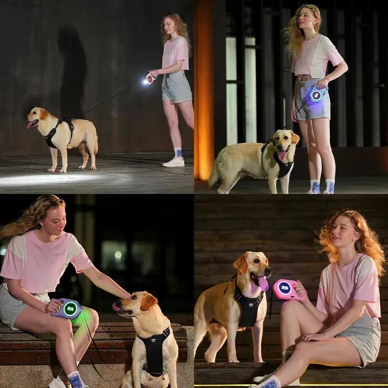 Flexi Automatic Retractable Dog Leash 5m With Bright LED Light For Small Medium Dogs Walking Running Safe Night Gear by Pawpampered