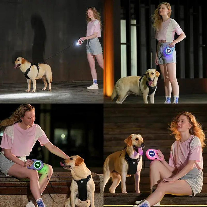 Flexi Automatic Retractable Dog Leash 5m With Bright LED Light For Small Medium Dogs Walking Running Safe Night Gear by Pawpampered