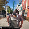 Carica l'immagine nel visualizzatore della galleria, Mr. Peanut's Aspen Series airline-compliant grey backpack pet carrier with mesh window and a dog peeking out.
