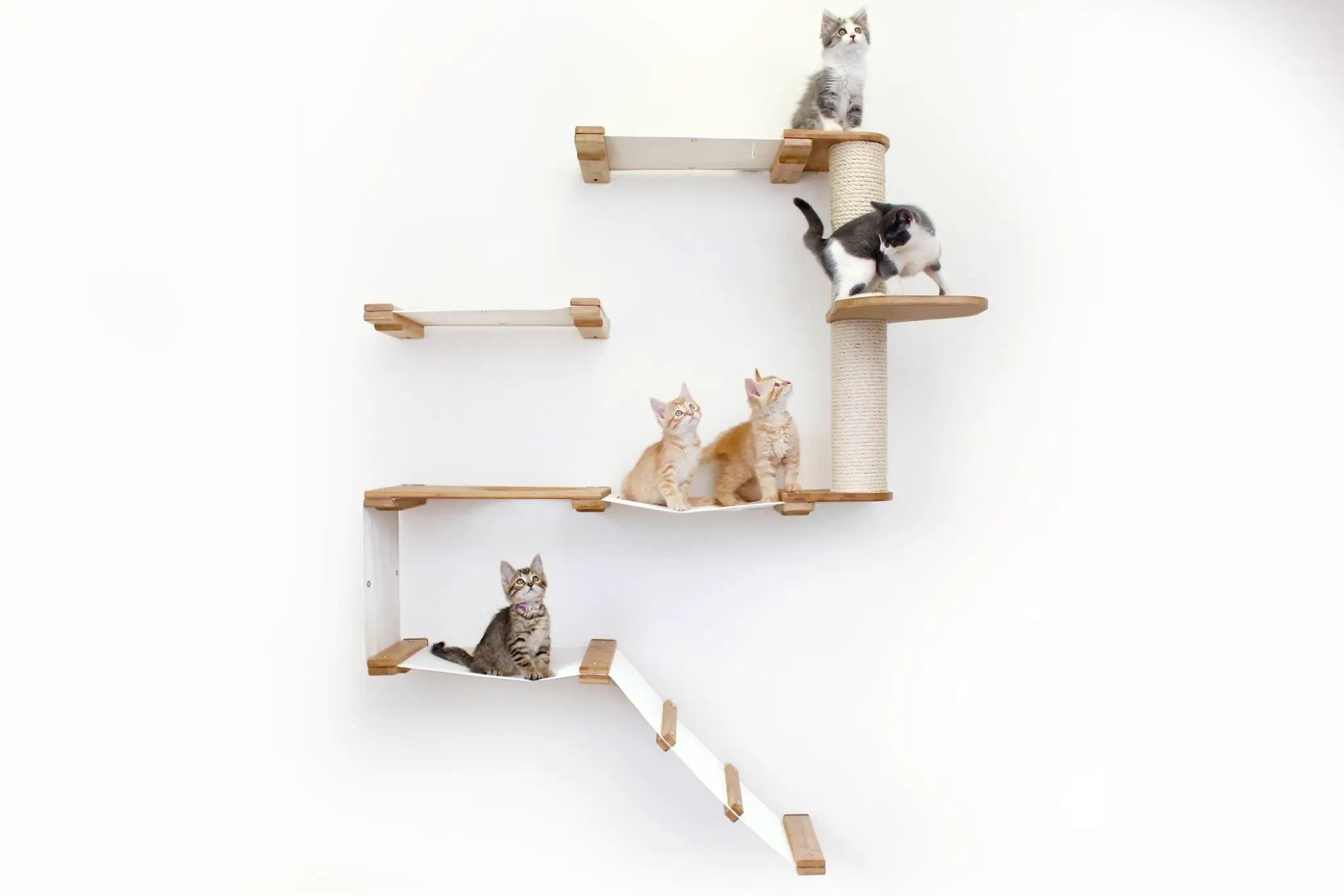 The Deluxe Cat Fort - Modern Cat Condo, light wood cat furniture with a sisal-wrapped post and multiple levels.