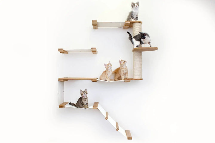 The Deluxe Cat Fort - Modern Cat Condo, light wood cat furniture with a sisal-wrapped post and multiple levels.