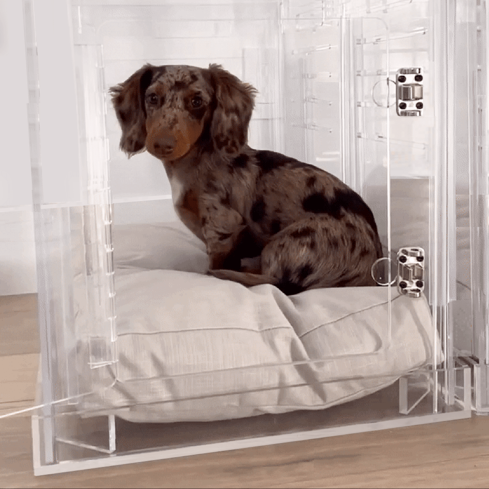 Hiddin Clear Acrylic Dog Crate – Small, Silver Latch