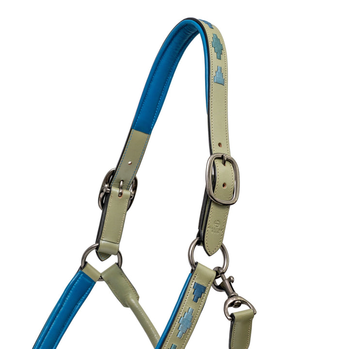 Halter Ego Azura Leather Horse Halter, close-up of the noseband and padding