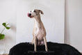 Gallery viewerに画像を読み込む, Oval Sheepskin™ Luxury Pet Bed by Nai Pet Store
