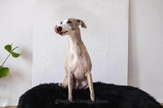 Oval Sheepskin™ Luxury Pet Bed by Nai Pet Store