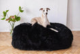 Gallery viewerに画像を読み込む, Oval Sheepskin™ Luxury Pet Bed by Nai Pet Store
