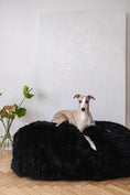 Gallery viewerに画像を読み込む, Oval Sheepskin™ Luxury Pet Bed by Nai Pet Store
