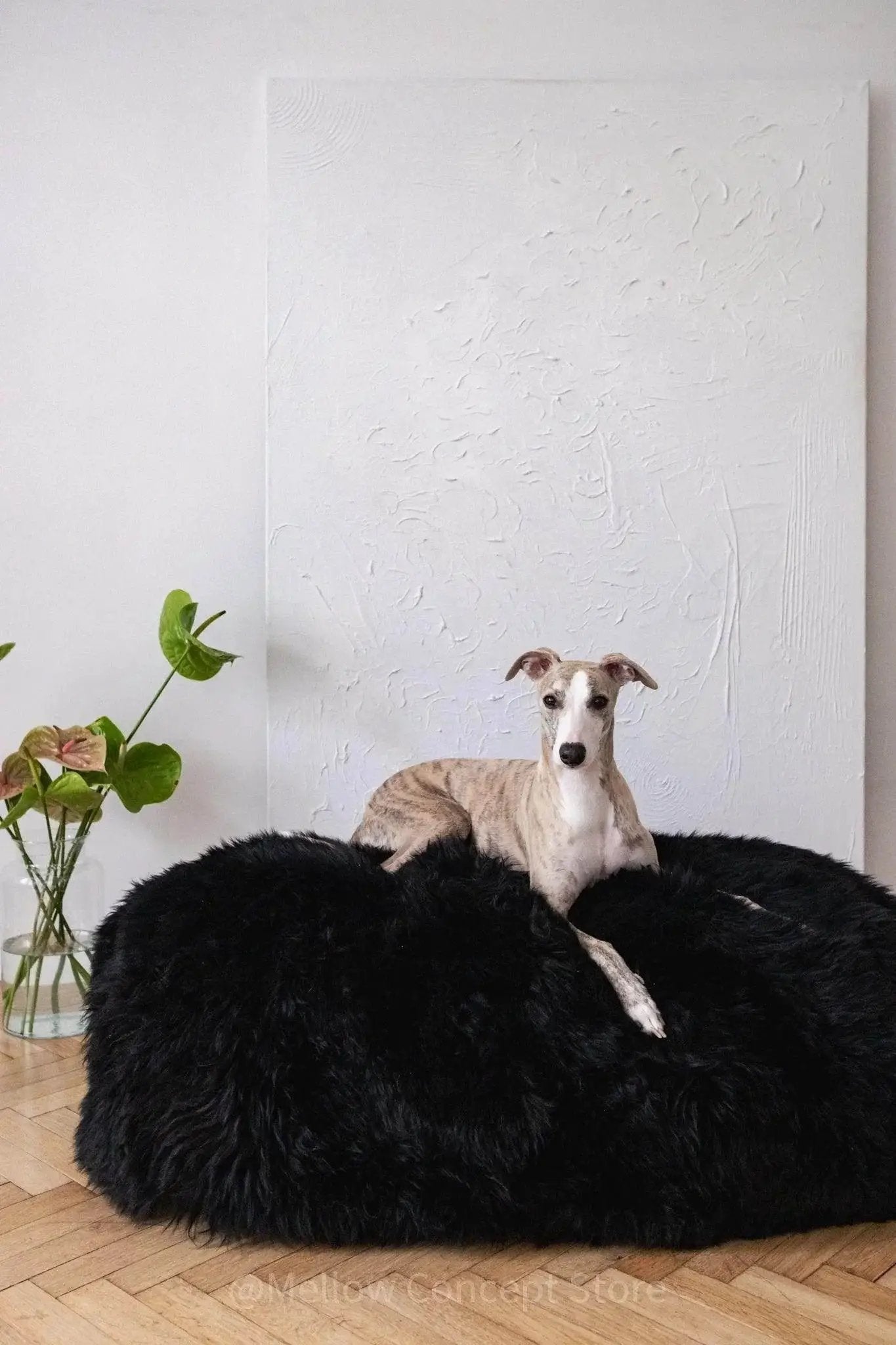 Oval Sheepskin™ Luxury Pet Bed by Nai Pet Store