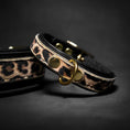 Load image into Gallery viewer, Bestia Dog Gear Leopard Puppy Collar Luxury Collection Pre Order by Bestia Dog Gear
