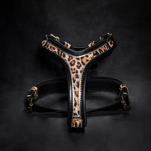 Bestia Dog Gear Genuine Leather Leopard Harness Small To Medium Size by Bestia Dog Gear