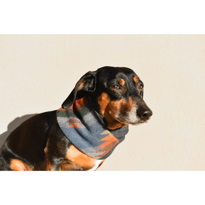 Sequoia Matching Dog &amp; Owner Scarf
