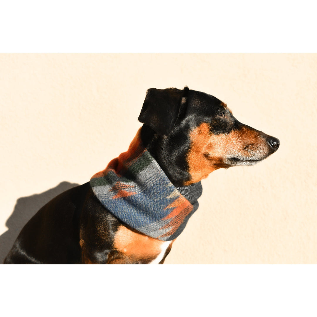 Sequoia Matching Dog &amp; Owner Scarf