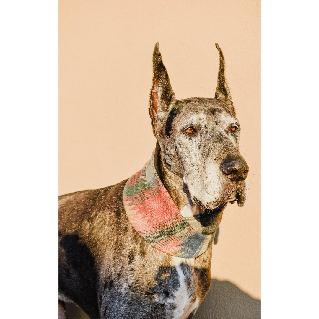 Sequoia Matching Dog &amp; Owner Scarf