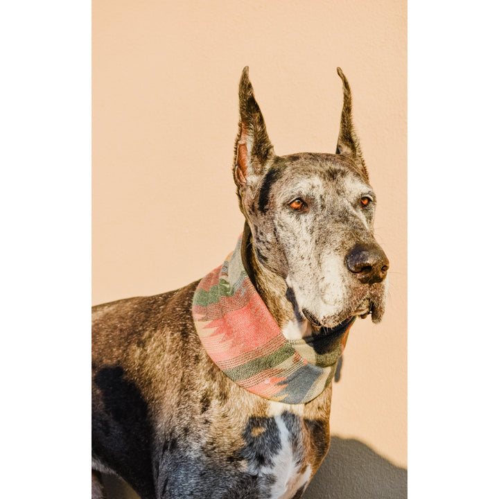 Sequoia Matching Dog &amp; Owner Scarf