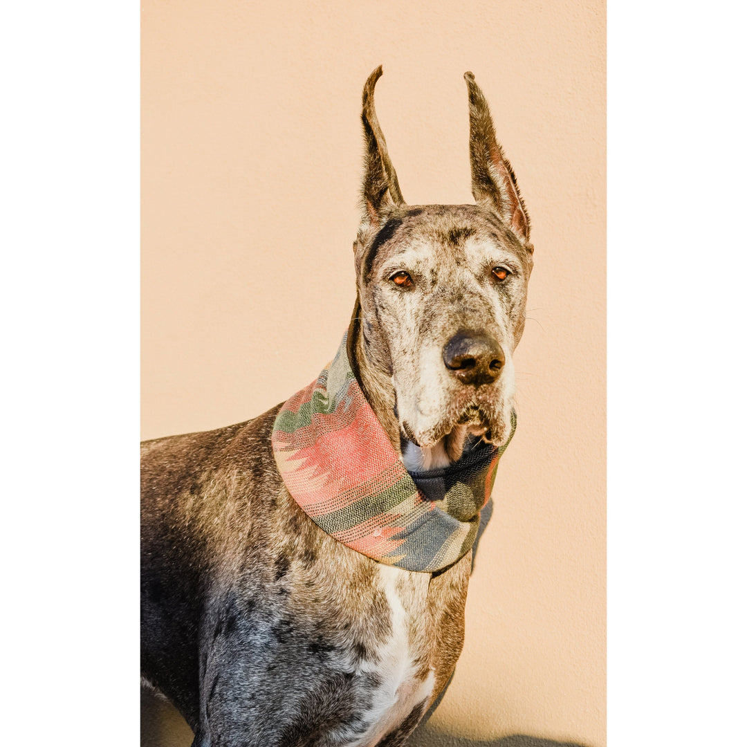 Sequoia Matching Dog &amp; Owner Scarf