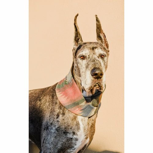 Sequoia Matching Dog &amp; Owner Scarf