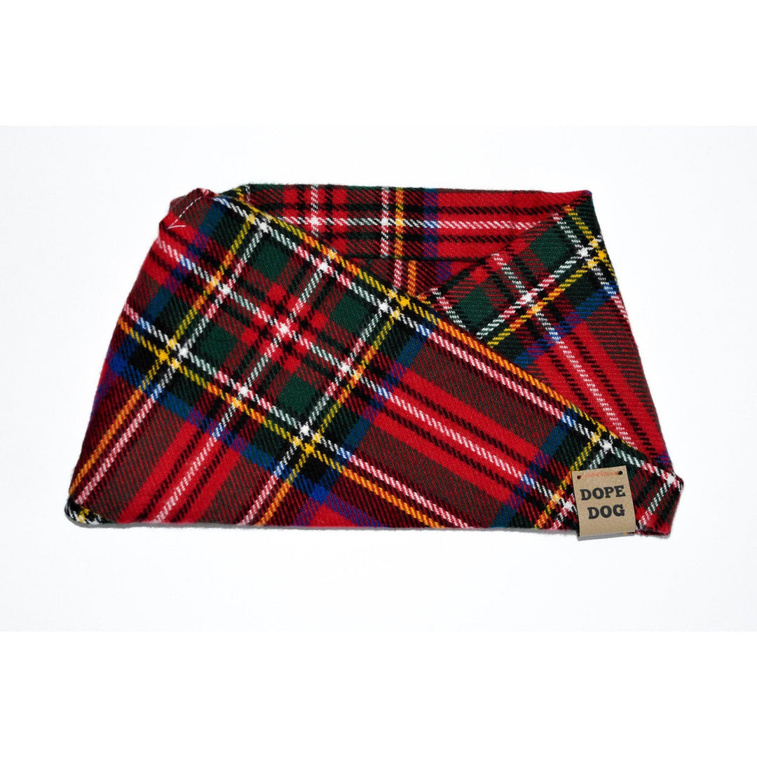 Apple Crumble Matching Dog &amp; Owner Scarf