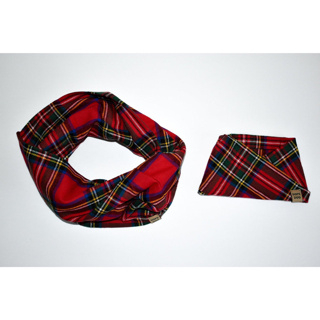 Apple Crumble Matching Dog &amp; Owner Scarf