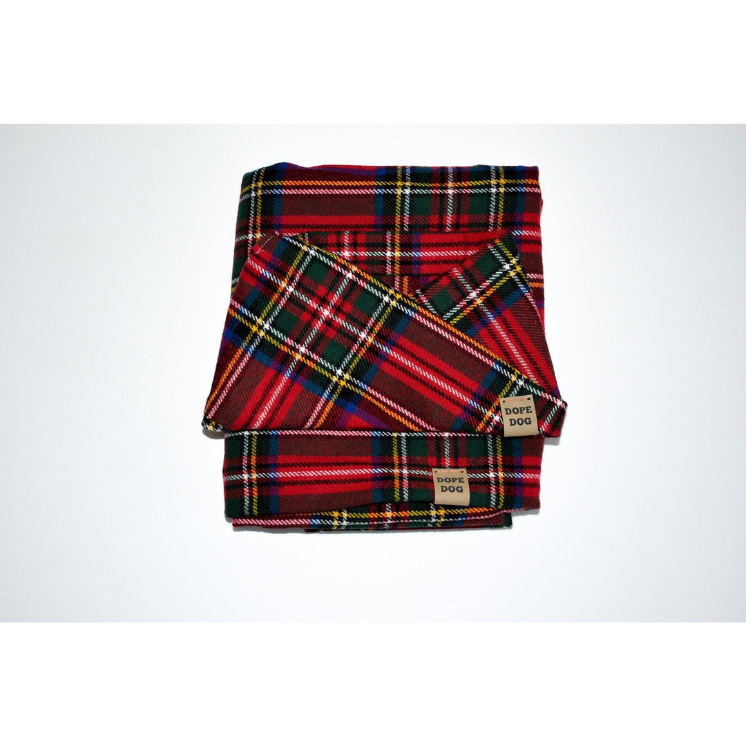 Apple Crumble Matching Dog &amp; Owner Scarf