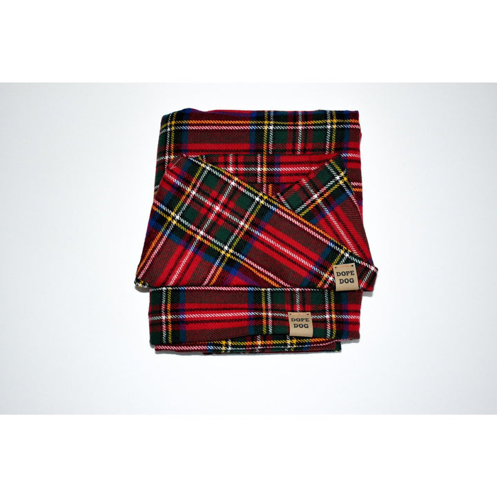 Apple Crumble Matching Dog &amp; Owner Scarf
