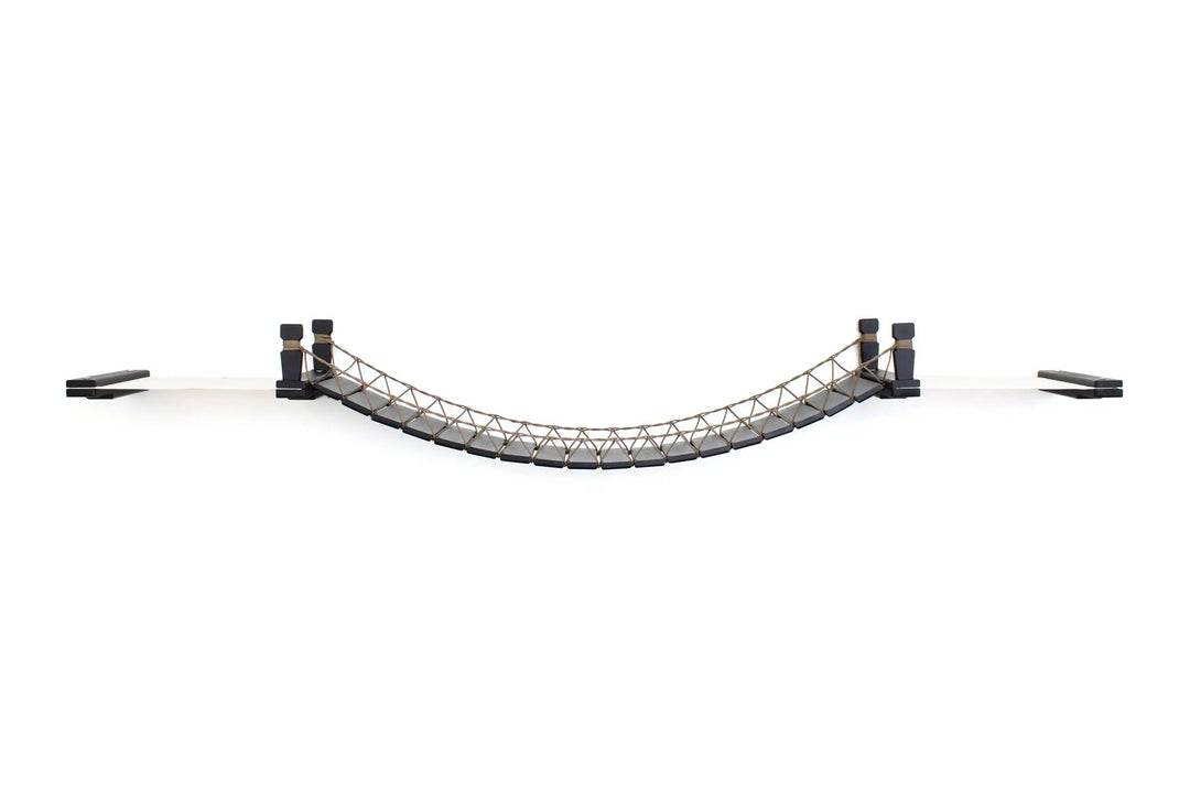 Double Cat Hammock and Climbing Bridge Combo by Catastrophic Creations; curved cat bridge with rope net and black supports