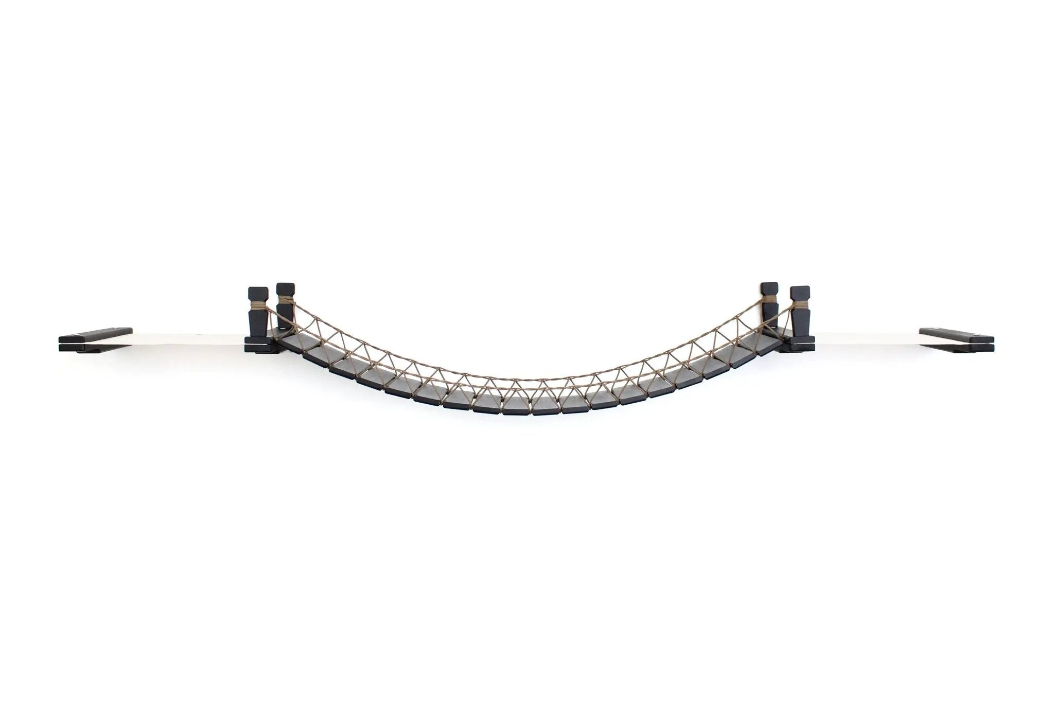 Double Cat Hammock and Climbing Bridge Combo by Catastrophic Creations; curved cat bridge with rope net and black supports