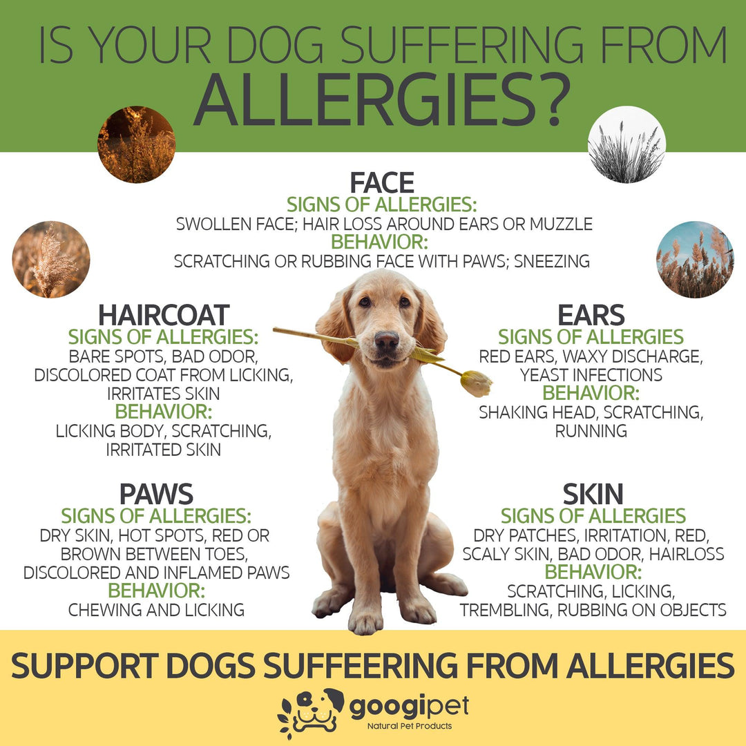 Googipet Allergy &amp; Immune Support Chews (Peanut Butter), product detail image 7