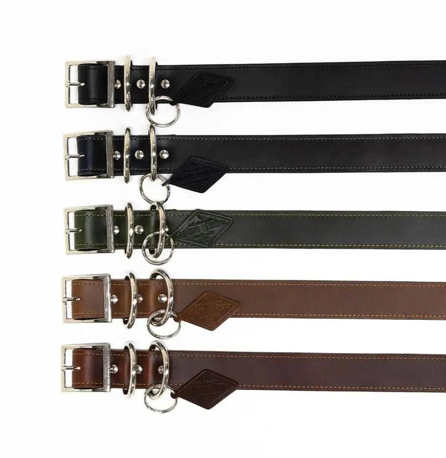 Designer Premium American Leather Dog Collar Full Grain Handcrafted by Lifetime Leather Co