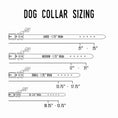 Load image into Gallery viewer, Designer Premium American Leather Dog Collar Full Grain Handcrafted by Lifetime Leather Co

