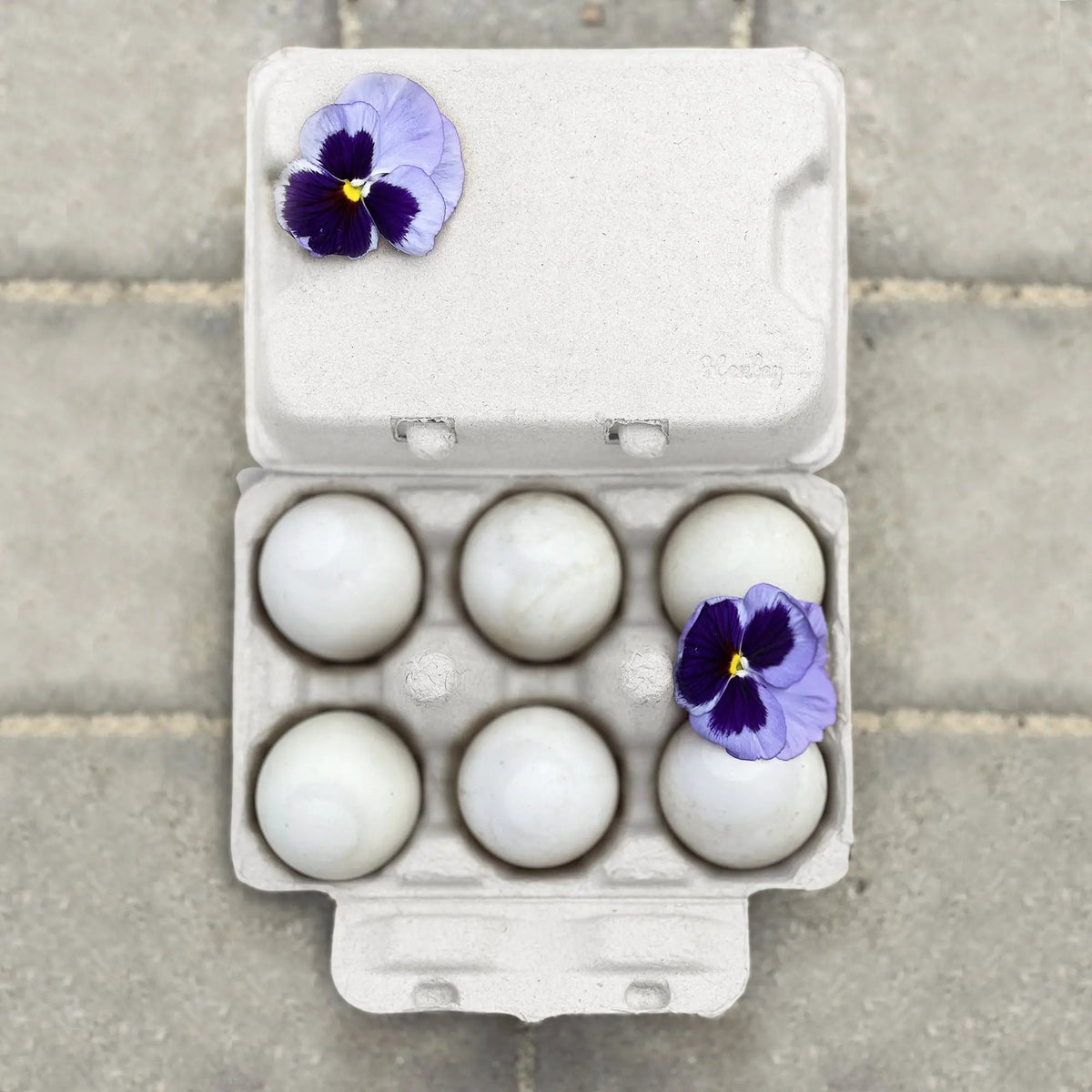 Egg carton with six jumbo white eggs, gray blank lid and a purple flower accent