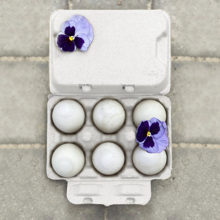Egg carton with six jumbo white eggs, gray blank lid and a purple flower accent