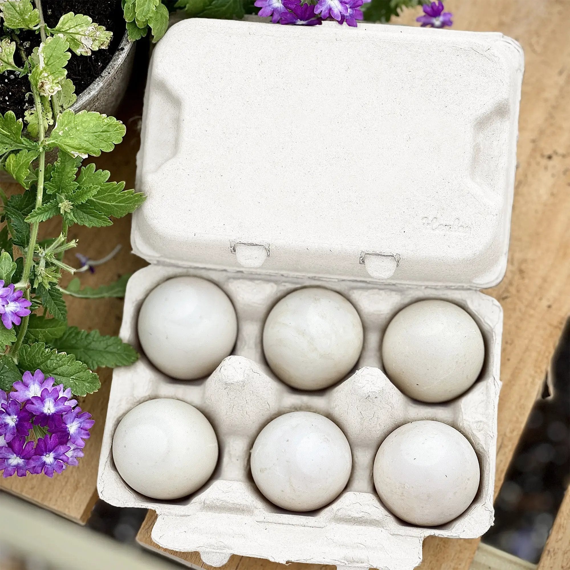 Egg carton holding six pale blue duck eggs on a blank flat-top carton, surrounded by greenery and purple flowers.