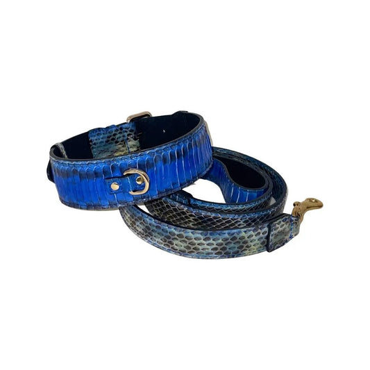 Avery Blue Snake Collar And Leash Set For 14-19 Innecks by Allysa Payne Beverly Hills