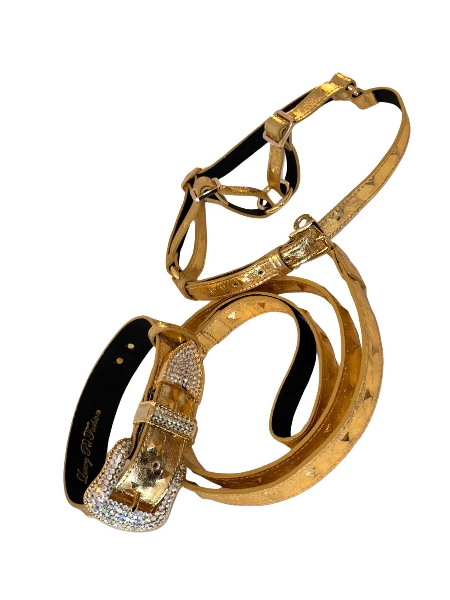 Glam Gold Leather Pet Collar Harness & Leash Set by Allysa Payne Beverly Hills