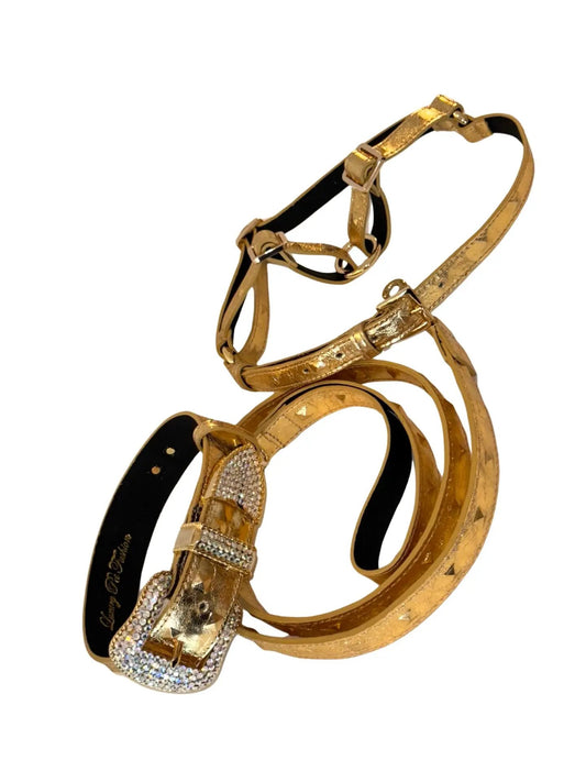 Glam Gold Leather Pet Collar Harness & Leash Set by Allysa Payne Beverly Hills
