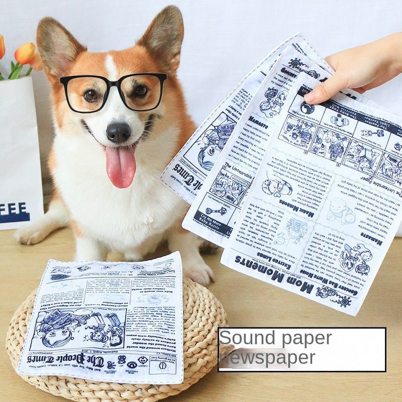 Crinkle Newspaper & Playing Card Dog Toy