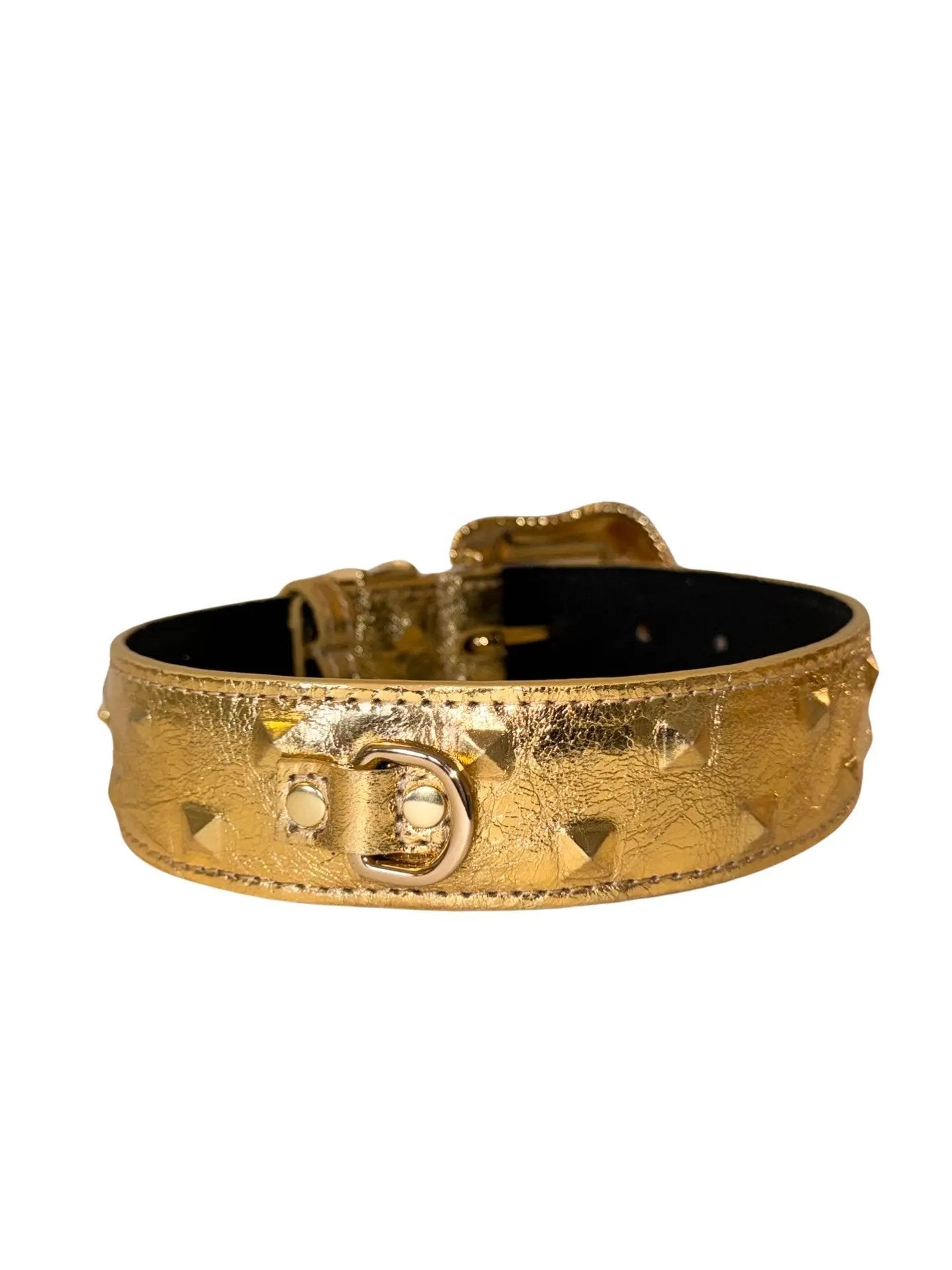 Glam Gold Studded Italian Leather Collar With Swarovski Buckle by Allysa Payne Beverly Hills