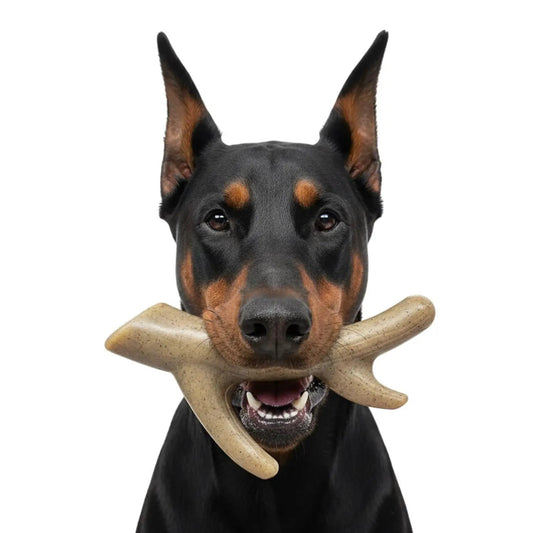Ever Antler Nylon Chew Bone | Elk Antler Shaped Dog Toy for Aggressive Chewers | SodaPup by SodaPup/True Dogs, LLC