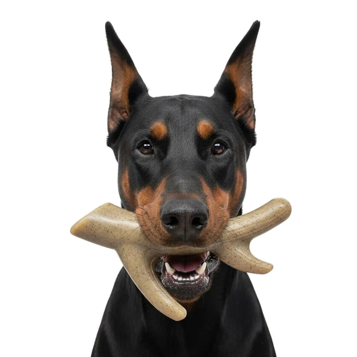 SodaPup Ever Antler nylon dog chew toy, view 2